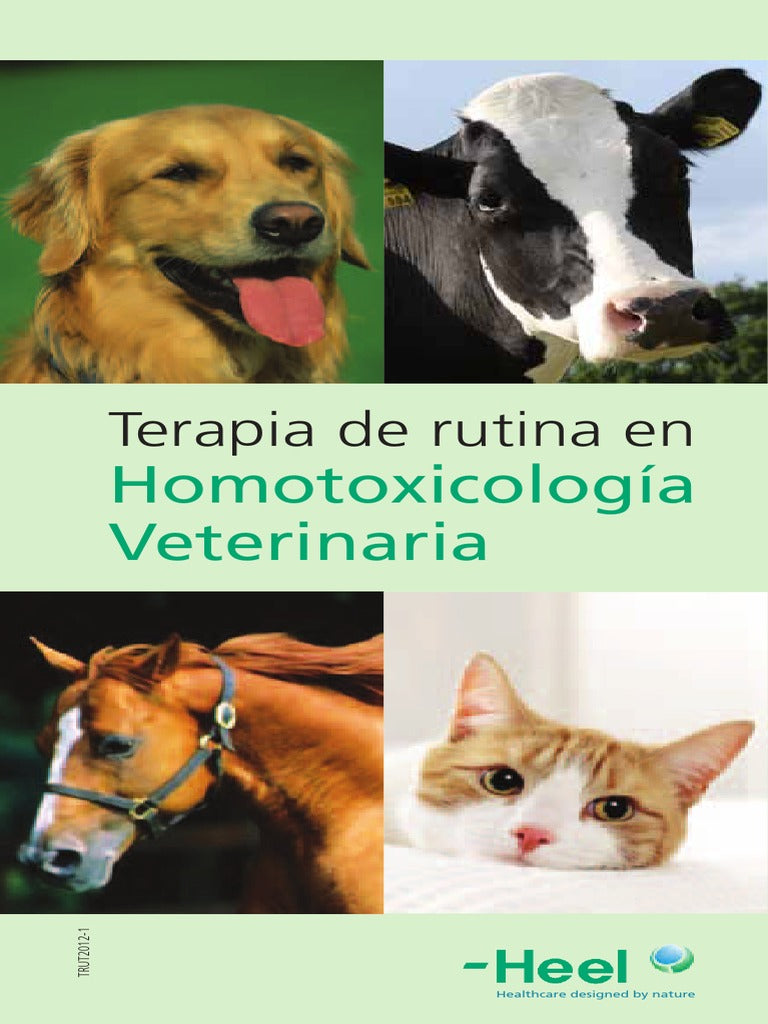 Husteel Gotas x 30 ml Heel (Arsenum Iodatum D6 / Atropa Belladona / Cuprum Aceticum / Causticum Hanemanni / Urginea Maritima)