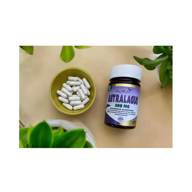 Astralagus Cápsulas 500 mg x 60 Green Med